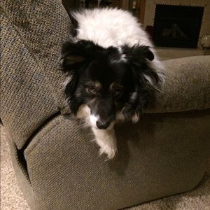 Meet your Posher, Kaitlin